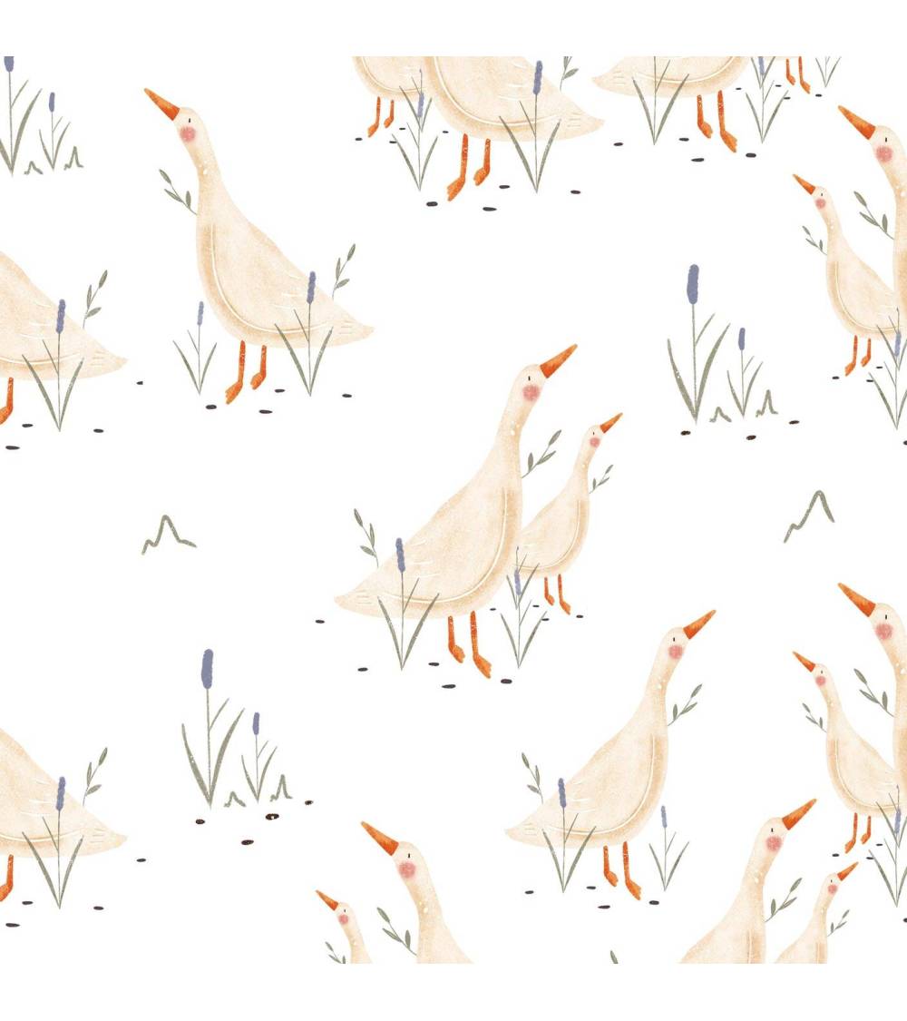 Goose on white